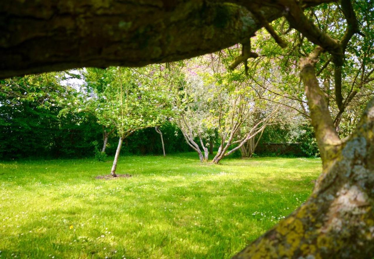 Maison Charmante A Ri Avec Jardin Et Terrasse Vila Ri Exterior foto